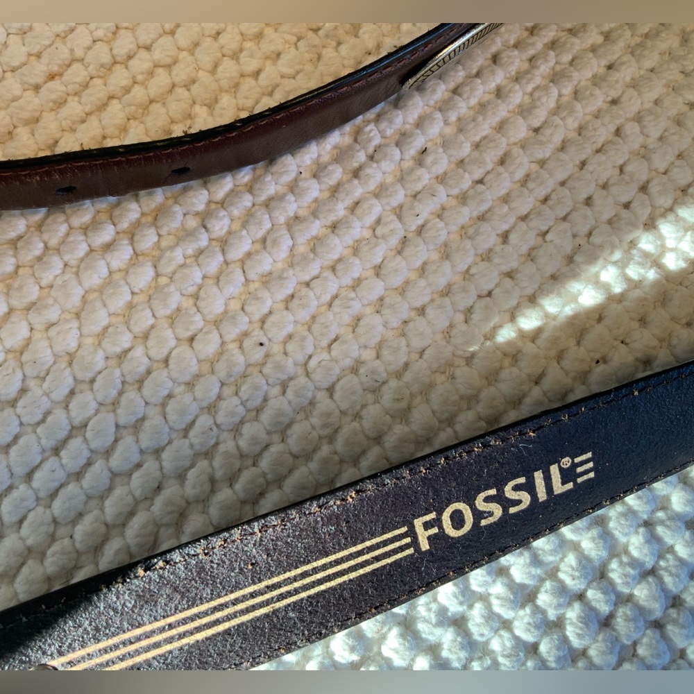 FOSSIL BELT - Picture 5 of 7